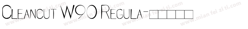 Cleancut W90 Regula字体转换